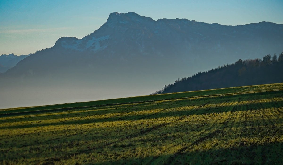 Using Leading Lines to Improve Your Photography